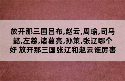 放开那三国吕布,赵云,周瑜,司马懿,左慈,诸葛亮,孙策,张辽哪个好 放开那三国张辽和赵云谁厉害